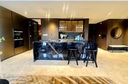 Tembusu Grand (D15), Condominium #557556061